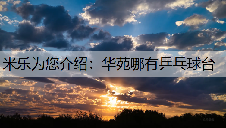 米乐为您介绍：华苑哪有乒乓球台