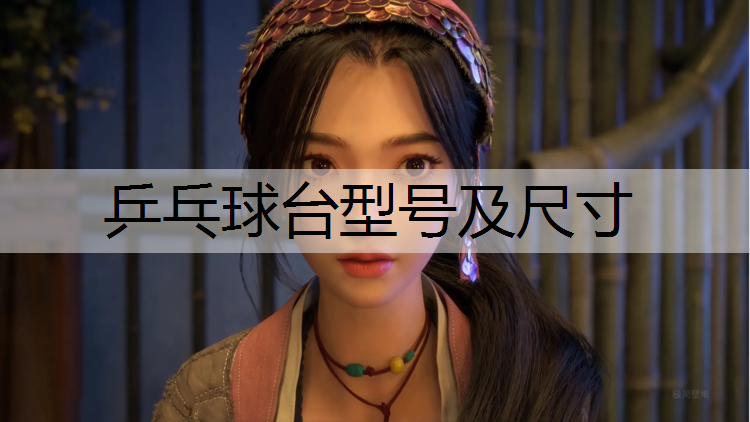 <strong>乒乓球台型号及尺寸</strong>